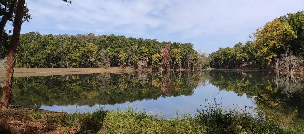 Chhattisgarh News: नरवा विकास : वनांचल में पेयजल सिंचाई और निस्तारी आदि सुविधाओं का मिल रहा भरपूर लाभ