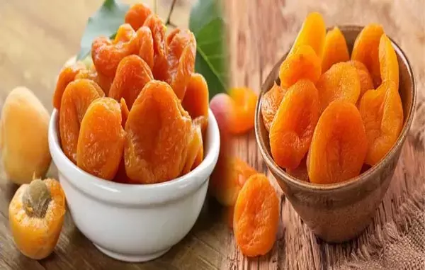 सूखी खुबानी है खूबियों का पिटारा, रोज़ खाएं इस समय पर, मिलेंगे अनेक फायदे