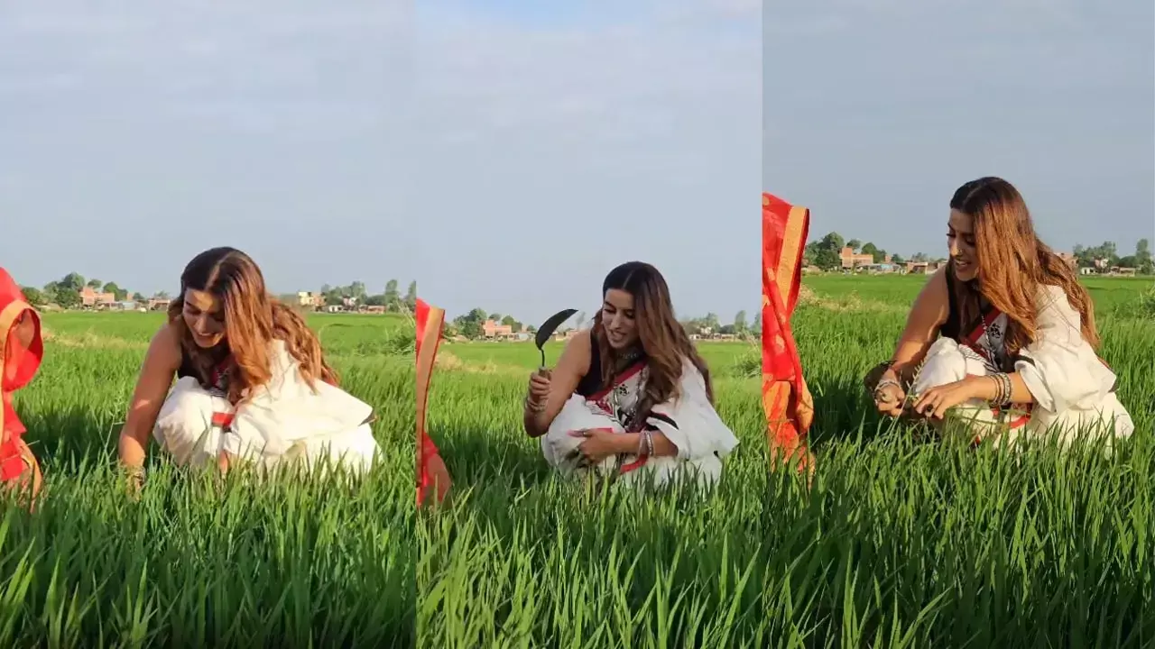 कौन है ये खूबसूरत एक्ट्रेस!... जिसने फिल्म की शूटिंग छोड़कर भागी खेत में घास काटने, आखिर क्या हुआ ऐसा?...