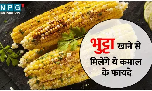 Corn or Bhutta Benefits : बारिश में भा रहा है कड़क सिंका भुट्टा? खाइये, मज़े के साथ आपको मिलेंगे ये कमाल के फायदे भी...