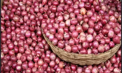 Onion Price Hike: टमाटर के बाद अब प्याज उगल रहा आग, जानें कहां कितनी हुई बढ़ोतरी