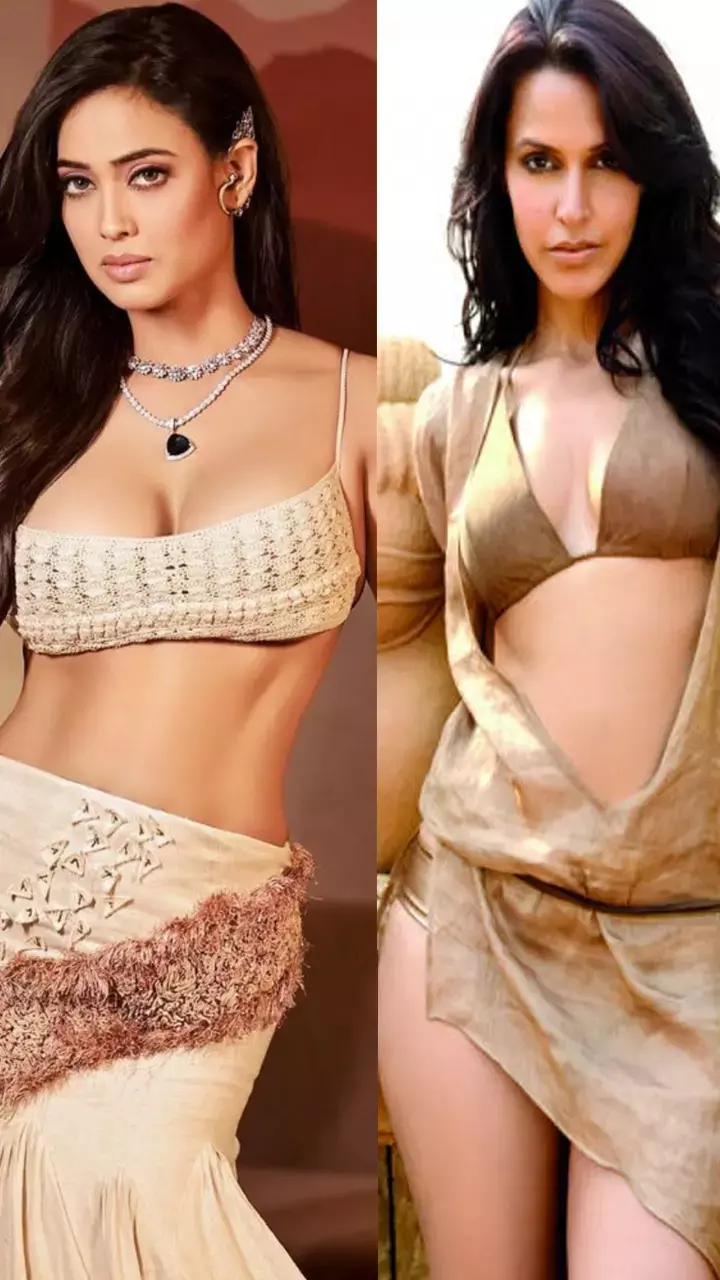 ये मशहूर भारतीय सितारे कर चुके हैं पाकिस्तानी फिल्मों में एक्टिंग, इस एक्ट्रेस ने बिखेरा था जलवा