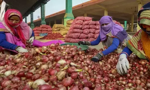 Onion Price Hike: प्याज की कीमतों को काबू में रखने के लिए सरकार ने उठाया बड़ा कदम, जानिए कैसे