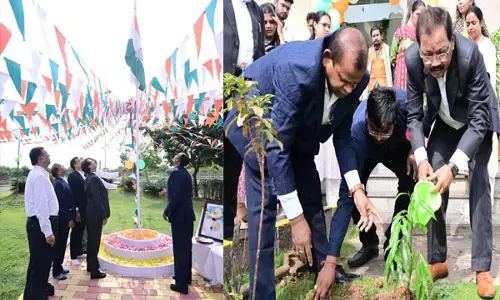 छत्तीसगढ़ राज्य सूचना आयोग में मनाया गया स्वतंत्रता दिवस, राज्य सूचना आयुक्त मनोज त्रिवेदी ने किया ध्वजारोहण