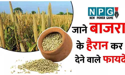 Benefits of Millet Bajra: बाजरा को कीजिए दैनिक आहार में शामिल, फायदे हैरान कर देंगे...