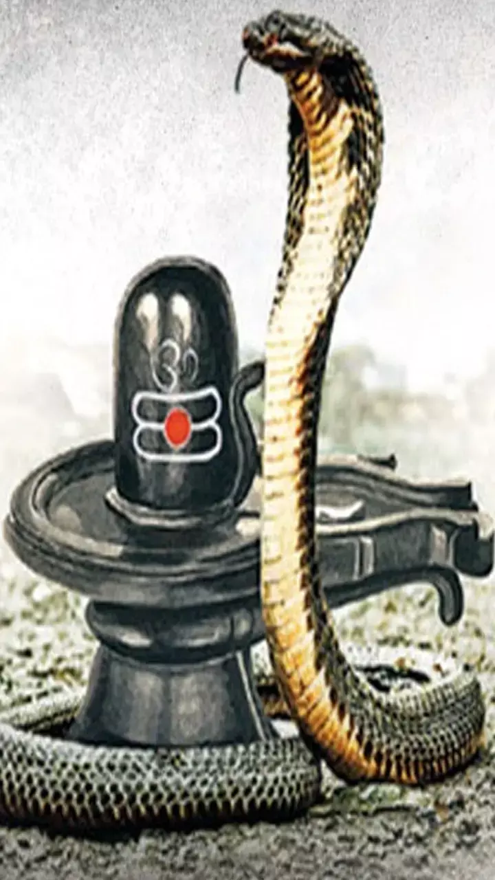 Naga Panchami 2023: आज है नाग पंचमी, इस दिन भूल से भी न करें यह काम, जानिए शुभ मुहूर्त और महत्व...