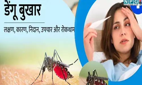 CG News-बरसात में डेंगू: बुखार होने पर दिखने लगते हैं ये लक्षण, सोते समय करें मच्छरदानी का उपयोग, जाने बचाव