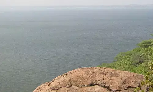 Cauvery Water Dispute: सुप्रीम कोर्ट कर्नाटक से कावेरी का पानी छोड़ने की मांग वाली तमिलनाडु की याचिका को सूचीबद्ध करने पर सहमत