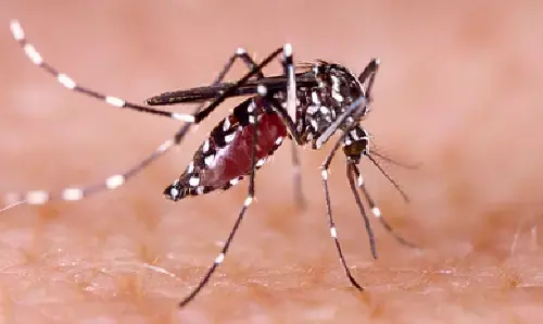 Saharanpur News: सहारनपुर में बढ़ा डेंगू का खतरा, मरीजों की संख्या पहुंची 24, नए मामले दर्ज