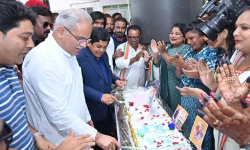 CM भूपेश ने काटा 150 फीट की लंबाई वाला केक, वजन 430 किलोग्राम, यह स्पेशल केक बोंजेलो द्वारा किया गया तैयार