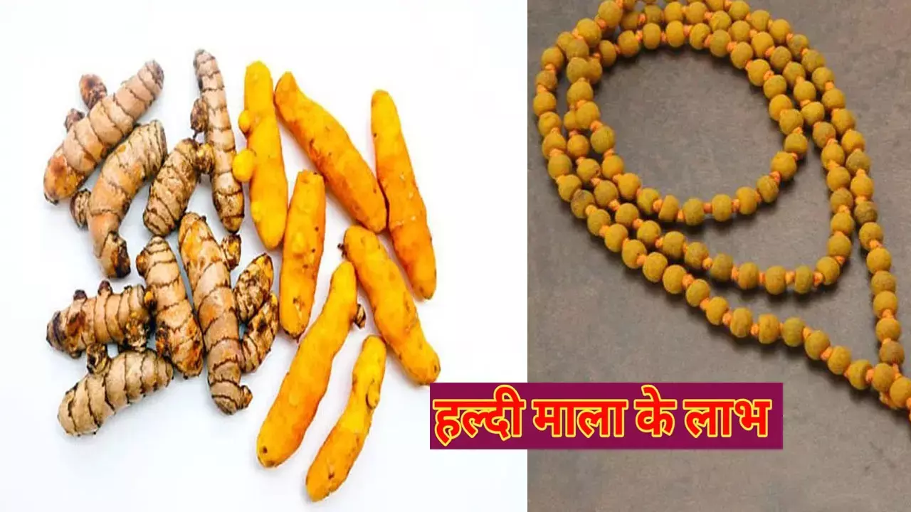 Haldi Astro Tips: हल्दी की माला से किस देवता का होता है जाप, जानिए कैसे बनाते हैं, इसको पहनने से क्या मिलता है चमत्कारी लाभ
