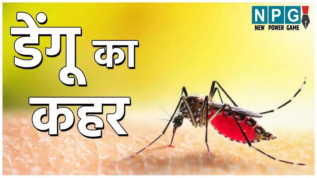 Dengue News: डेंगू का जबरदस्त कहर: 57 लोगों की हुई मौत, 5000 से भी ज्यादा मामले आई सामने...