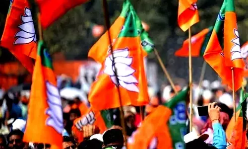 CG बीजेपी में बड़ा हॉच-पॉच: सारे प्रमुख नेता लड़ रहे चुनाव...कोई सिस्टम नहीं, हर फैसले के लिए दिल्ली की ओर टकटकी