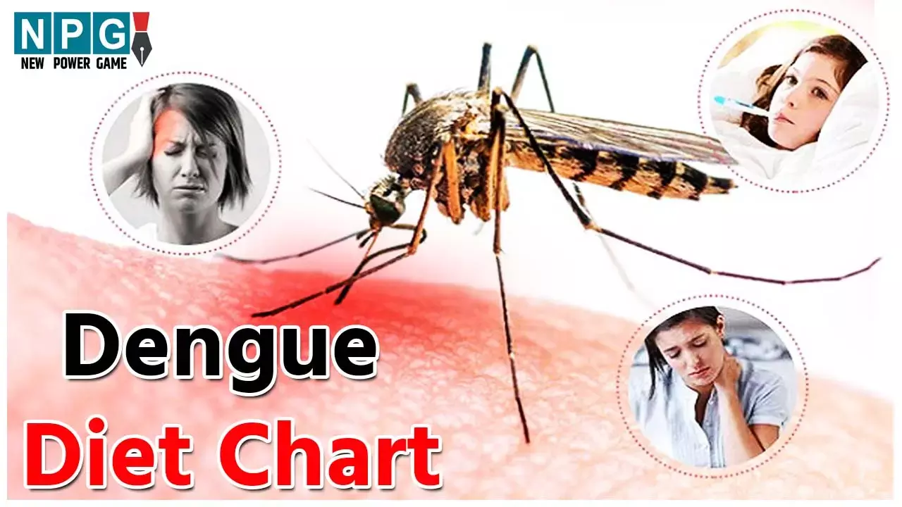 Dengue Diet Chart: डेंगू के दौरान ऐसा होना चाहिए आपका खानपान, जल्द होगी रिकवरी...