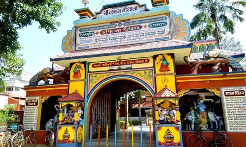 CG News: CM भूपेश 29 अगस्त को चम्पारण में करेंगे निर्माण कार्याें का लोकार्पण, रामायण महोत्सव में होंगे शामिल...