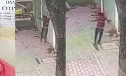 Karnataka Crime News Today : दुष्‍कर्म के आरोपी ने 40 फीट ऊंची दीवार फांदी, वीडियो वायरल