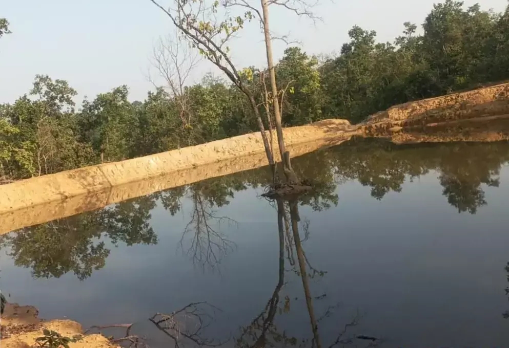 CG कैम्पाः 300 करोड़ रूपए से 29 लाख से अधिक संरचनाओं का निर्माण जारी, 2 राष्ट्रीय उद्यान, 3 टायगर रिजर्व, 1 एलीफेंट रिजर्व सहित 32 वनमंडलों में नरवा विकास के कार्य स्वीकृत
