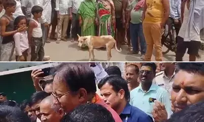 Bihar Politics : बीजेपी सांसद को उनके ही संसदीय क्षेत्र में दिखाए गए काले झंडे