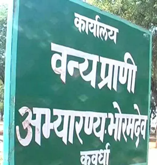 Bhoramdeo Sanctuary हाईकोर्ट ने खारिज की याचिका: भोरमदेव अभ्यारण्य में नहीं बनेगा टाईगर रिजर्व