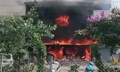 Chhattisgarh News: माता-पिता और बेटी की जलकर मौत, घर में रखा सिलेंडर ब्लास्ट, पूरा परिवार जिंदा जला...