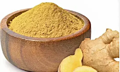 BHU Latest News : BHU के डॉक्टरों को मिली बड़ी कामयाबी, अब सूखी अदरक के पाउडर से होगा कोरोना का इलाज, रिसर्च में किया दावा