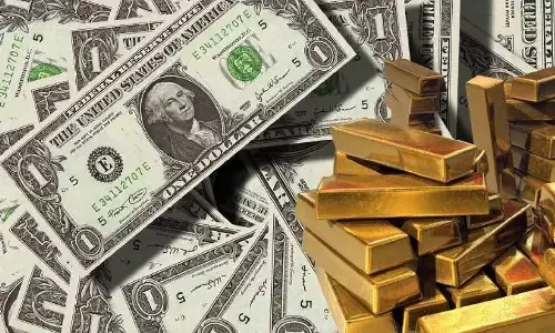 India Forex Reserves: भारत के विदेशी मुद्रा भंडार में 4.03 अरब डॉलर का इजाफा, बढ़कर 598.89 अरब डॉलर पहुंचा