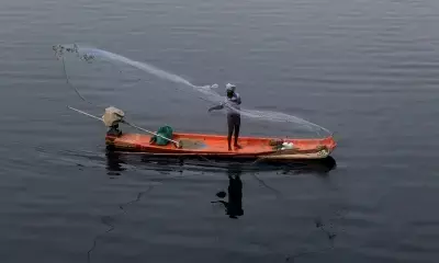 Fisherman News: श्रीलंका से गिरफ्तार मछुआरों की रिहाई के लिए केंद्र और राज्य से हस्तक्षेप की मांग