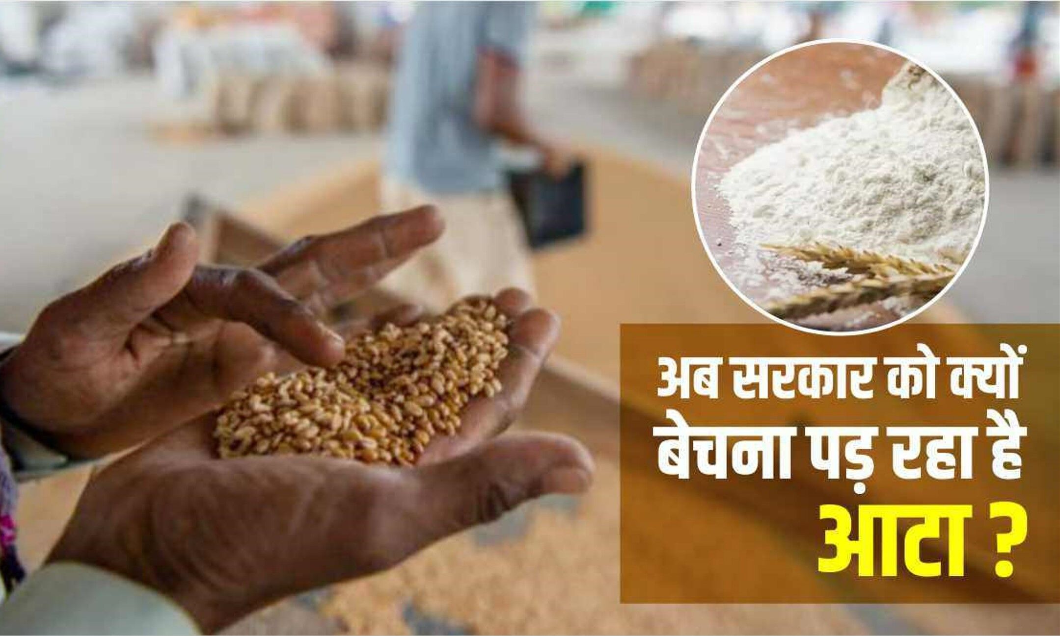 Wheat Price कीमतों को कंट्रोल करने के लिए सरकार ने उठाया कदम, खुले