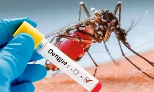 Bihar Dengue News : बिहार में तेजी से बढ़ रहा डेंगू का प्रकोप, 371 नए मरीज मिले, रैपिड रिस्पॉन्स टीम का होगा गठन