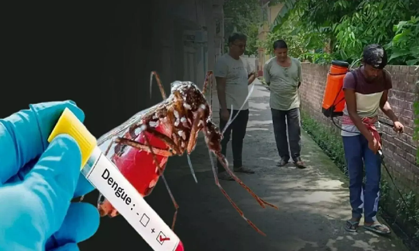 West Bengal Dengue News: पश्चिम बंगाल में डेंगू का कहर, 38 हजार के पार हुए  मामले, जानिए पूरा मामला | West Bengal Dengue News: Dengue havoc in West  Bengal, cases crossed 38