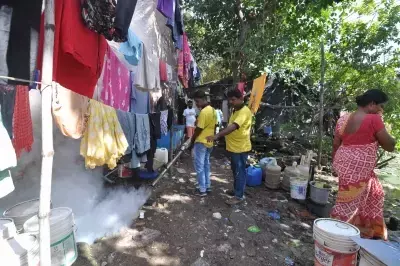 Dengue In Bengal: पश्चिम बंगाल में डेंगू के मामले 38 हजार पार
