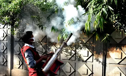 Bangladesh Dengue Cases: बांग्लादेश में डेंगू का कहर, मरने वालों की संख्या 900 पहुंची