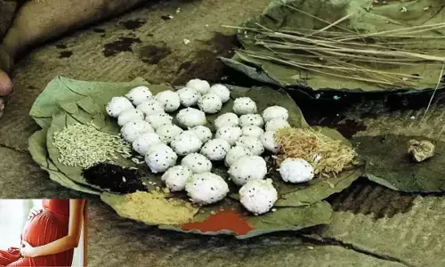 Shradh Paksh 2023:शुरू होने वाला है पितरों का दिन, गर्भवती महिलाओँ को रखना होगा खास ख्याल, जानिए क्यों