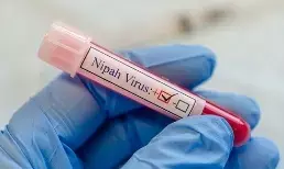 Nipah Virus Kerala : केरल के कोझिकोड में निपाह वायरस का आतंक खत्म, नहीं आया कोई नया केस