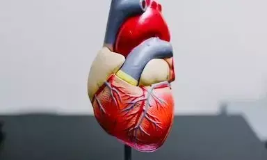 Cardiovascular Disease: रोजाना केवल 50 सीढ़ियां चढ़ने से हृदय रोग का खतरा 20 फीसदी तक हो सकता है कम