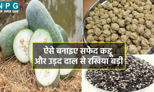 Chhattisgarhi Rakhiya Badi Recipe in Hindi : सफेद कद्दू और उड़द दाल से बनाइए छत्तीसगढ़ी रखिया बड़ी, साल भर आएगी सब्जी बनाने के काम...