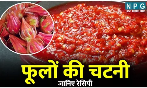 Chhattisgarhi me foolon ki Chatni ki Recipe: छत्तीसगढ़ी व्यंजन पेज का मज़ा लीजिए लकड़ा के फूलों की चटनी के साथ...