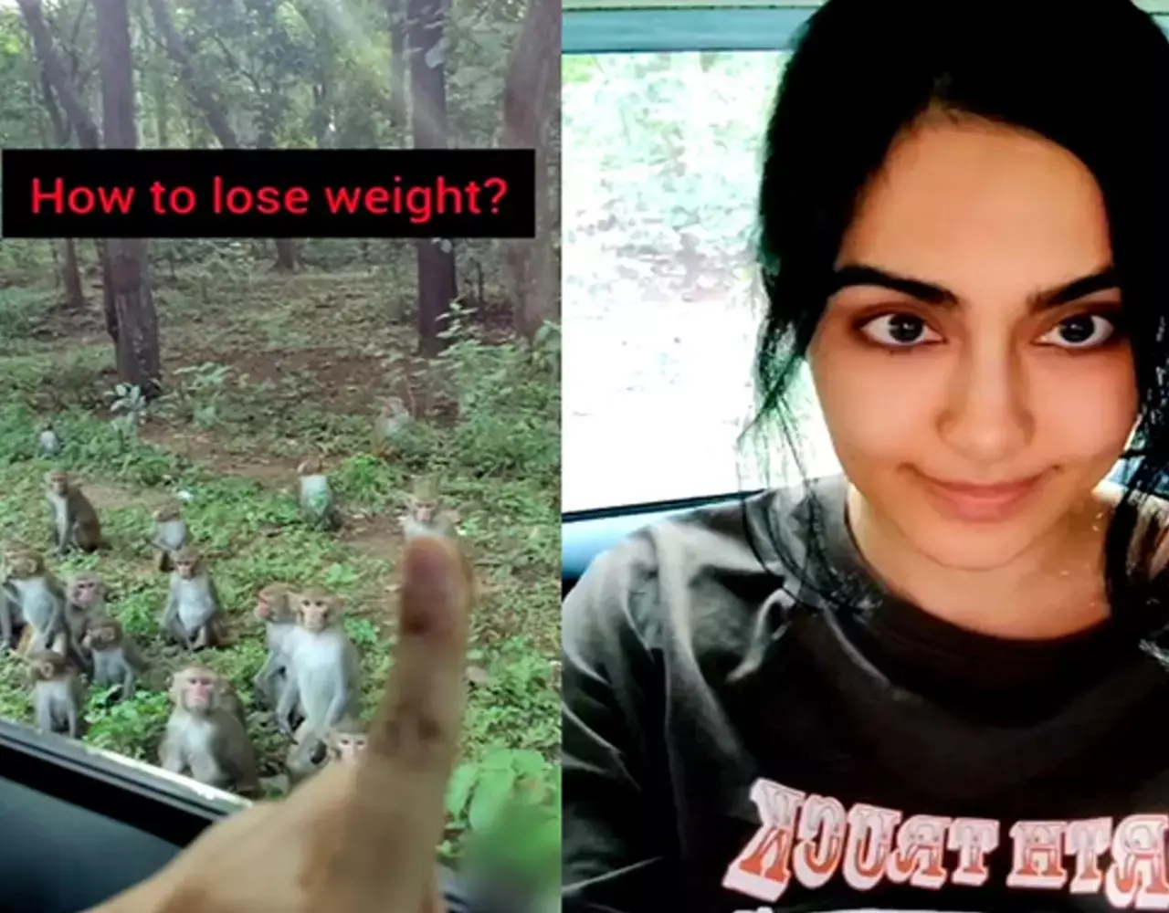 Adah Sharma : अदा शर्मा ने वजन घटाने वालों के लिए शेयर की VIDEO, किया एक्सपर्ट एडवाइज...