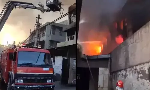 Delhi Factory Fire: दिल्ली के पीरागढ़ी इलाके की फैक्ट्री में लगी भीषण आग, 33 फायर टेंडर हैं मौके पर मौजूद