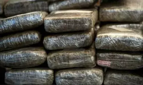 Bhopal Crime News: नेपाल से भोपाल पहुंची 1.85 करोड़ की चरस, तीन तस्कर गिरफ्तार