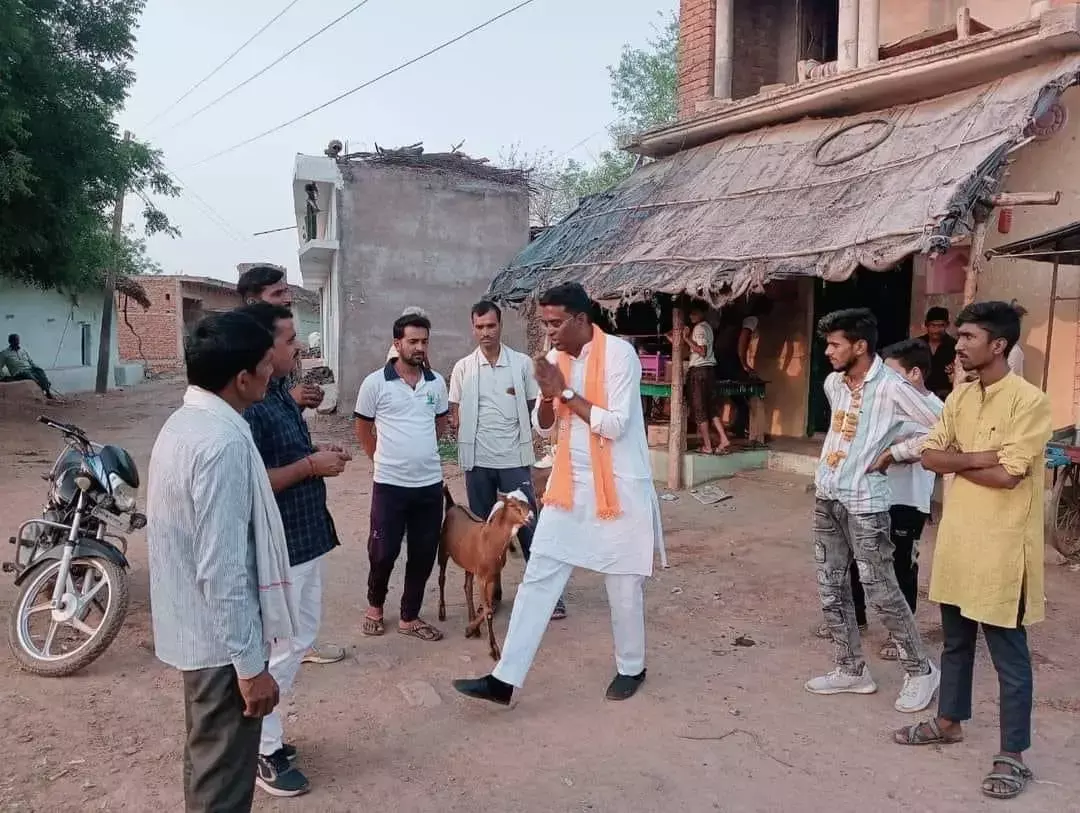 Dilip Ahirwar Biography: चंदला से Bjp ने दिलीप अहिरवार को मैदान में उतारा