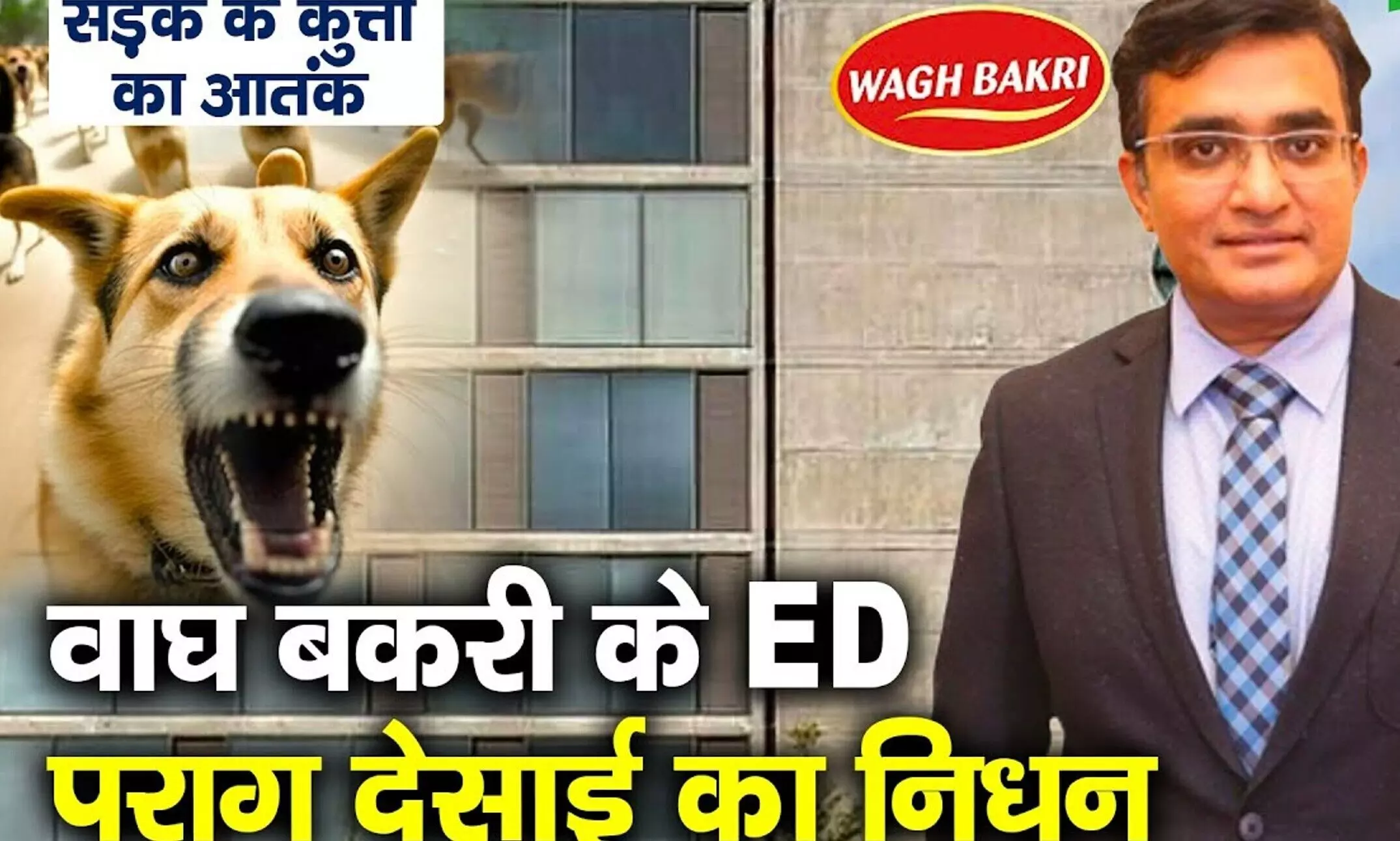 Parag Desai Death: आवारा कुत्तों के हमले के बाद वाघ बकरी चाय कंपनी के मालिक का निधन, मॉर्निंग वॉक के दौरान किया था अटैक Parag Desai Death: आवारा कुत्तों के हमले के बाद वाघ बकरी चाय कंपनी के मालिक का निधन, मॉर्निंग वॉक के दौरान किया था अटैक