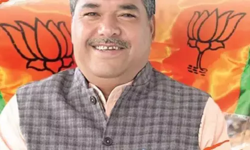 Bahadur Singh Chauhan Biography: महिदपुर से बीजेपी ने बहादुर सिंह को बनाया प्रत्याशी