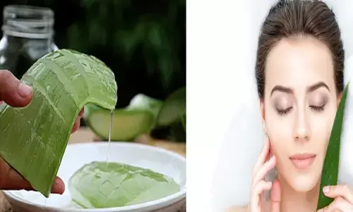 Alovera Jel Ke Fayde:क्या आप भी इस समय करते हैं एलोवेरा जेल इस्तोमाल तो जानिए इसका प्रभाव क्या पड़ता है आपकी खूबसूरती और चेहरे पर
