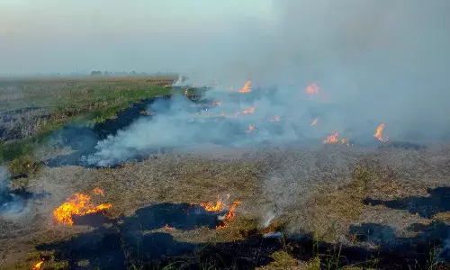 Bihar News: पराली जलाने वाले किसान हो जाएं सावधान! अगर नहीं मानी सरकार की बात तो भुगतना पड़ेगा नुकसान