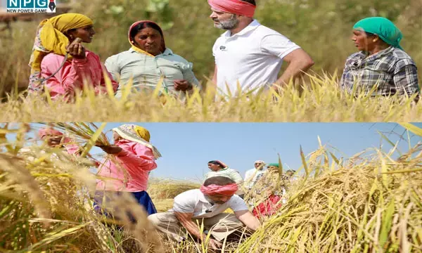 CG राहुल गांधी की बड़ी घोषणा... भूमिहीन कृषि मजदूरों को 7 हजार नहीं अब मिलेगा इतना