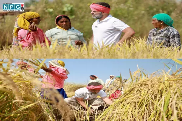 CG राहुल गांधी की बड़ी घोषणा... भूमिहीन कृषि मजदूरों को 7 हजार नहीं अब मिलेगा इतना