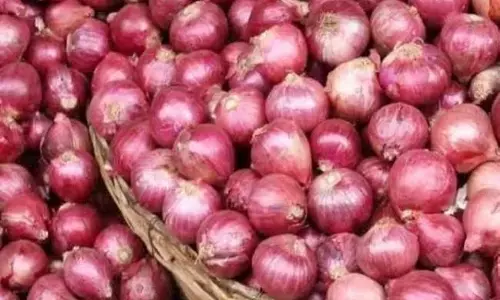 प्याज के साथ सब्जियों के बढ़ते दामों से लोग परेशान, दिसंबर से धीरे धीरे मूल्य कम होने की संभावना...