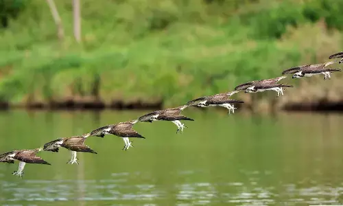 Uttarakhand News: उत्तराखंड के टिहरी जिले में खतलिंग ग्लेशियर के निचले हिस्से में बनी झील खतरे का संकेत