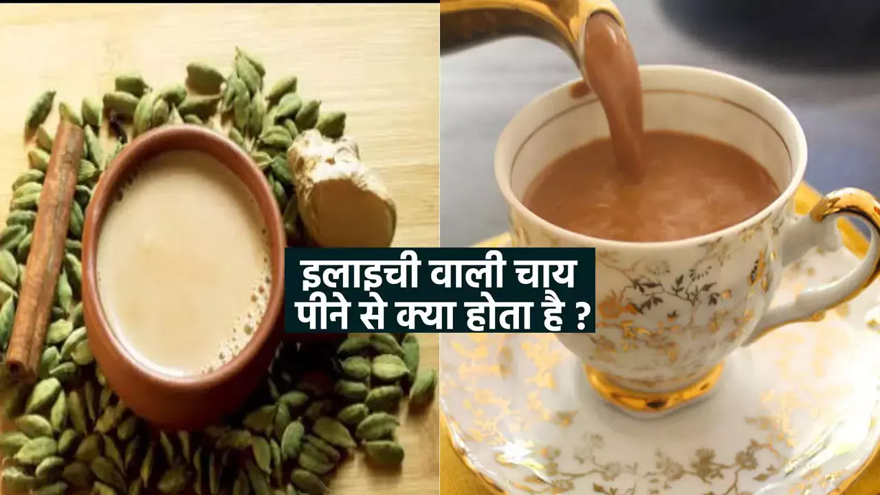 Elaichi Vali Chai Pine ke Laabh: रोज सुबह सुबह पिएं ये चाय, इन बीमारियों से मिलेगी राहत, जानिए होने वाले फायदे
